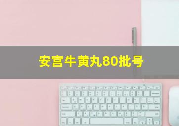 安宫牛黄丸80批号