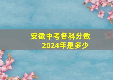 安徽中考各科分数2024年是多少