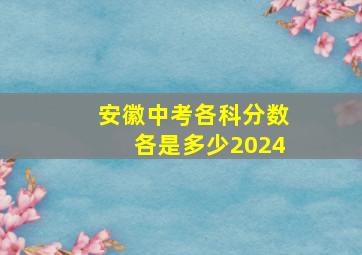 安徽中考各科分数各是多少2024