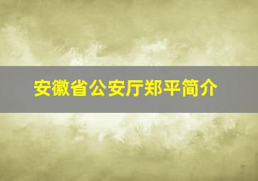 安徽省公安厅郑平简介