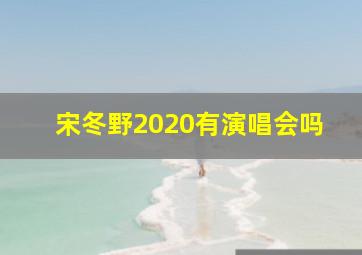 宋冬野2020有演唱会吗