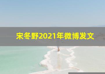 宋冬野2021年微博发文