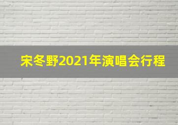 宋冬野2021年演唱会行程