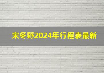 宋冬野2024年行程表最新