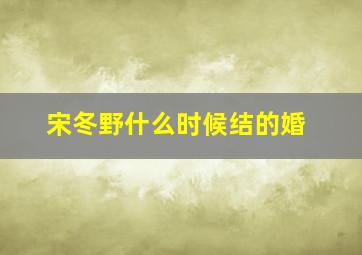 宋冬野什么时候结的婚