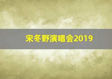 宋冬野演唱会2019