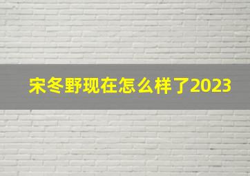 宋冬野现在怎么样了2023