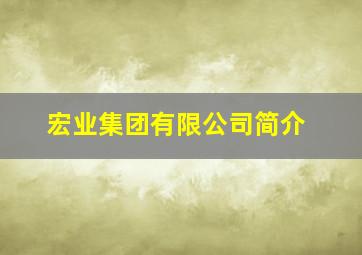 宏业集团有限公司简介