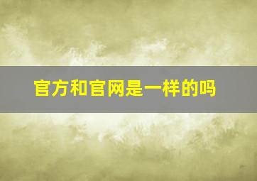 官方和官网是一样的吗