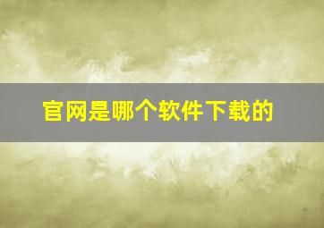 官网是哪个软件下载的