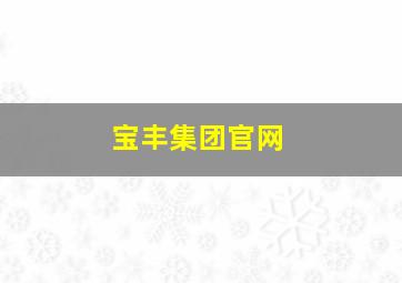 宝丰集团官网