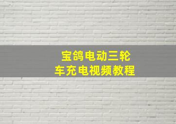 宝鸽电动三轮车充电视频教程