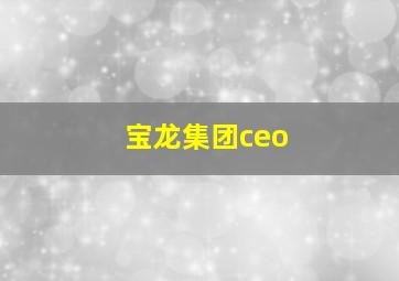 宝龙集团ceo