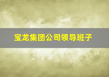 宝龙集团公司领导班子