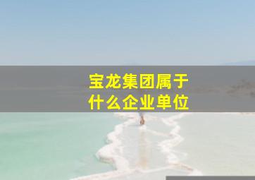 宝龙集团属于什么企业单位