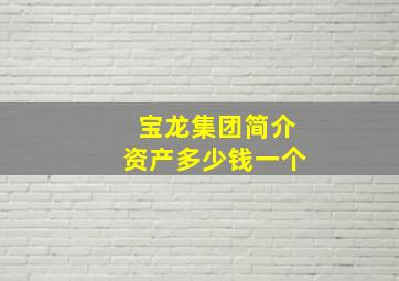 宝龙集团简介资产多少钱一个