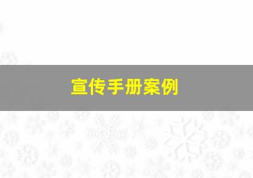 宣传手册案例