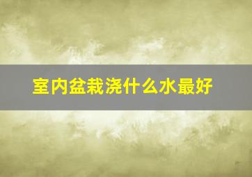 室内盆栽浇什么水最好