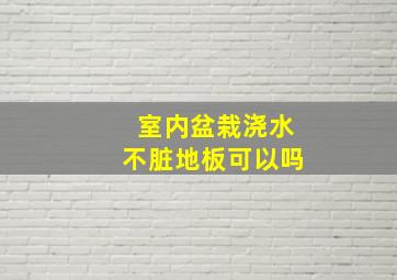 室内盆栽浇水不脏地板可以吗