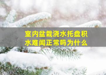 室内盆栽浇水托盘积水难闻正常吗为什么