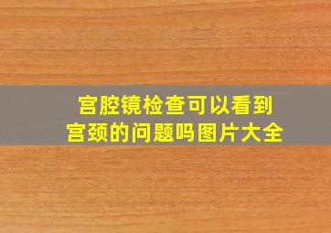 宫腔镜检查可以看到宫颈的问题吗图片大全