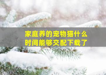 家庭养的宠物猫什么时间能够交配下载了