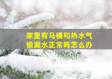 家里有马桶和热水气偷漏水正常吗怎么办