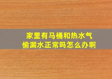 家里有马桶和热水气偷漏水正常吗怎么办啊