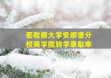 密歇根大学安娜堡分校商学院转学录取率