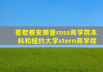 密歇根安娜堡ross商学院本科和纽约大学stern商学院