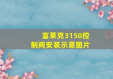 富莱克3150控制阀安装示意图片