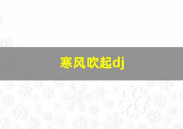 寒风吹起dj