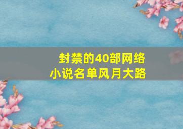 封禁的40部网络小说名单风月大路