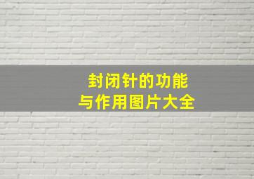 封闭针的功能与作用图片大全