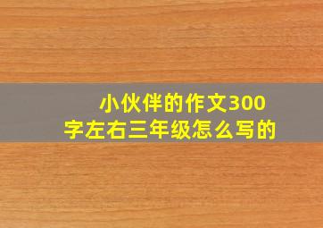 小伙伴的作文300字左右三年级怎么写的