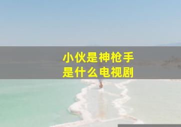 小伙是神枪手是什么电视剧