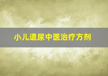 小儿遗尿中医治疗方剂