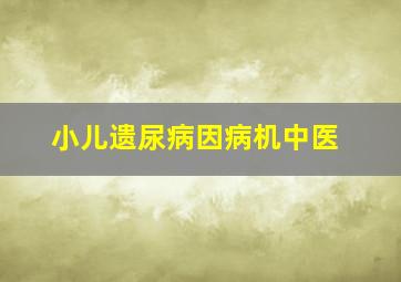 小儿遗尿病因病机中医