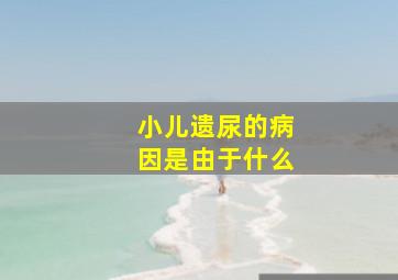 小儿遗尿的病因是由于什么