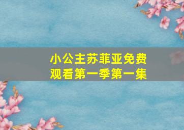 小公主苏菲亚免费观看第一季第一集