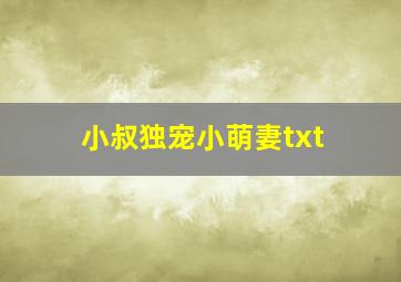 小叔独宠小萌妻txt