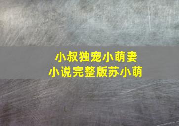 小叔独宠小萌妻小说完整版苏小萌