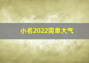 小名2022简单大气