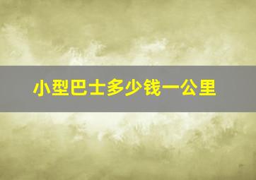 小型巴士多少钱一公里