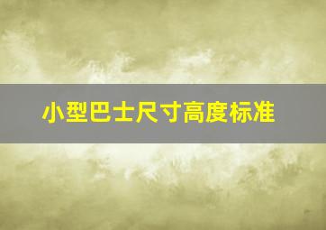 小型巴士尺寸高度标准