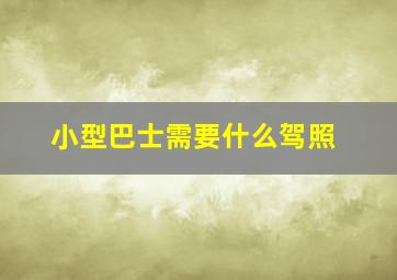 小型巴士需要什么驾照