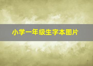 小学一年级生字本图片