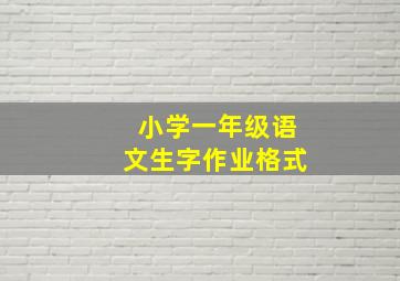 小学一年级语文生字作业格式