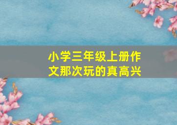 小学三年级上册作文那次玩的真高兴