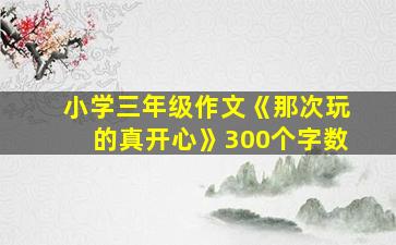 小学三年级作文《那次玩的真开心》300个字数